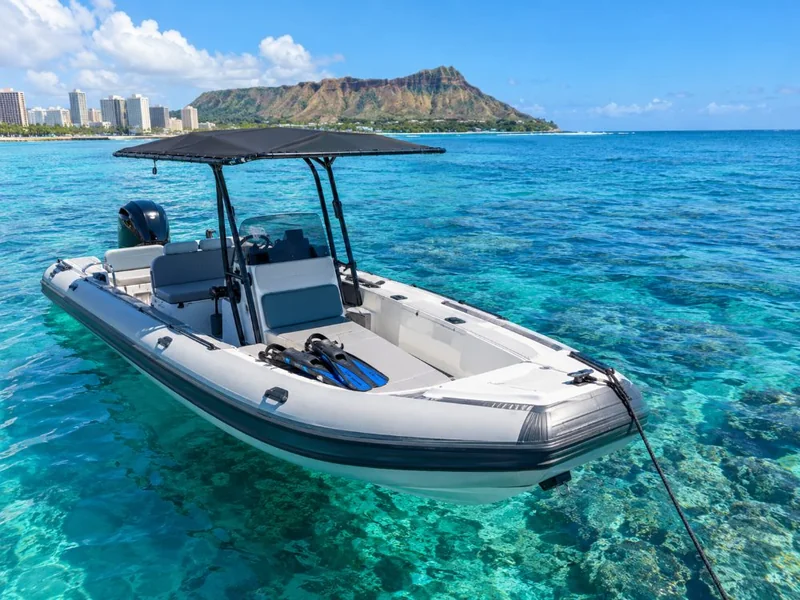 Turtle Snorkel Tour on a Speed Boat, Small Group